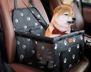 siège auto pour chien BYGD